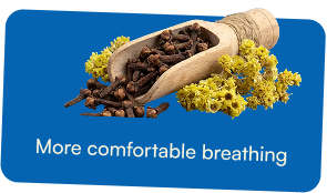 Improves respiratory circulation